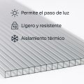 Policarbonato Celular Transparente al mejor precio - Metacrilatos y Plásticos