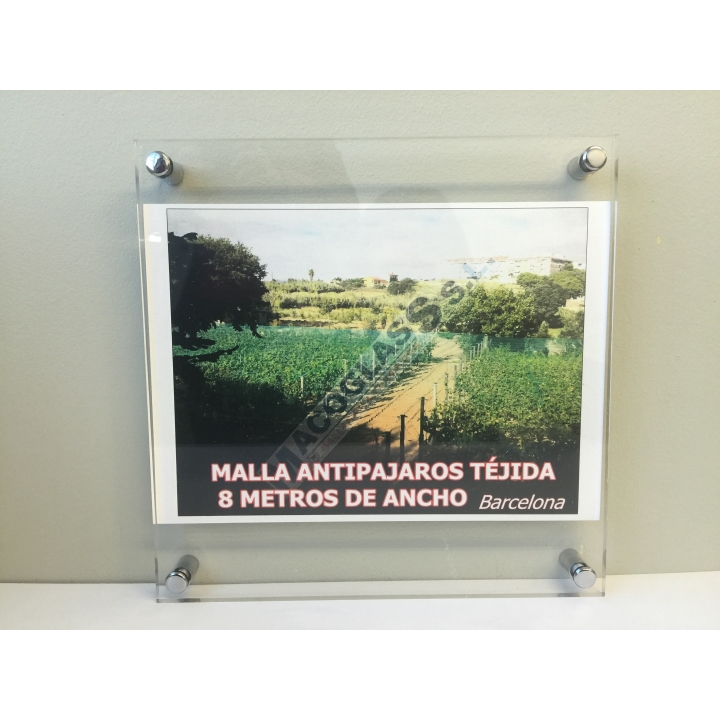 Embellecedor cromado 4 unidades mini